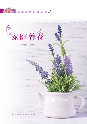 家庭养花