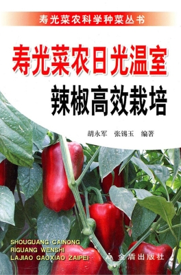 寿光菜农日光温室辣椒