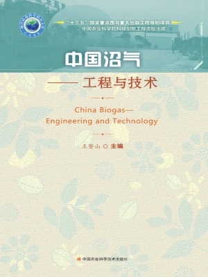 中国沼气——工程与技