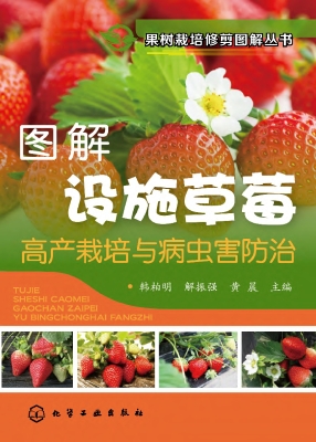 图解设施草莓高产栽培