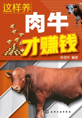 这样养肉牛才赚钱