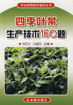 四季叶菜生产技术160