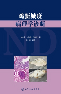 鸡新城疫病理学诊断