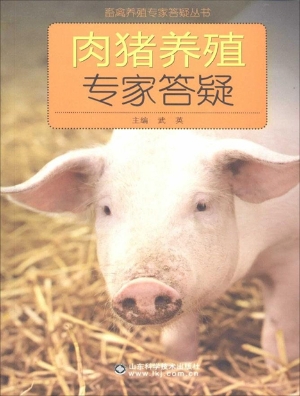肉猪养殖专家答疑