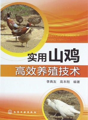 实用山鸡高效养殖技术