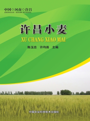 许昌小麦