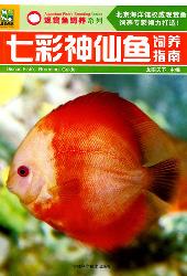 七彩神仙鱼饲养指南
