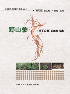 野山参（林下山参）的培育