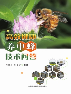 高效健康养中蜂技术问