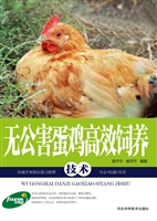 无公害蛋鸡高效饲养技