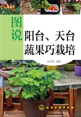 图说阳台、天台蔬果巧