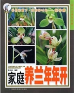 家庭养兰年年开