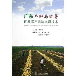 广东冬种马铃薯优质高