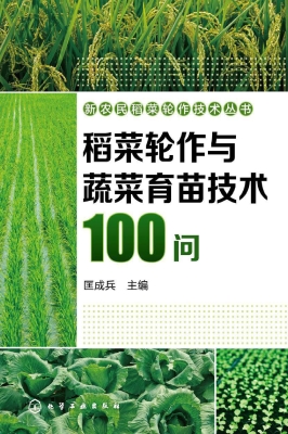 稻菜轮作与蔬菜育苗技