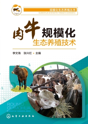 肉牛规模化生态养殖技