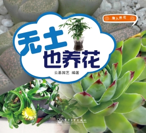 无土也养花