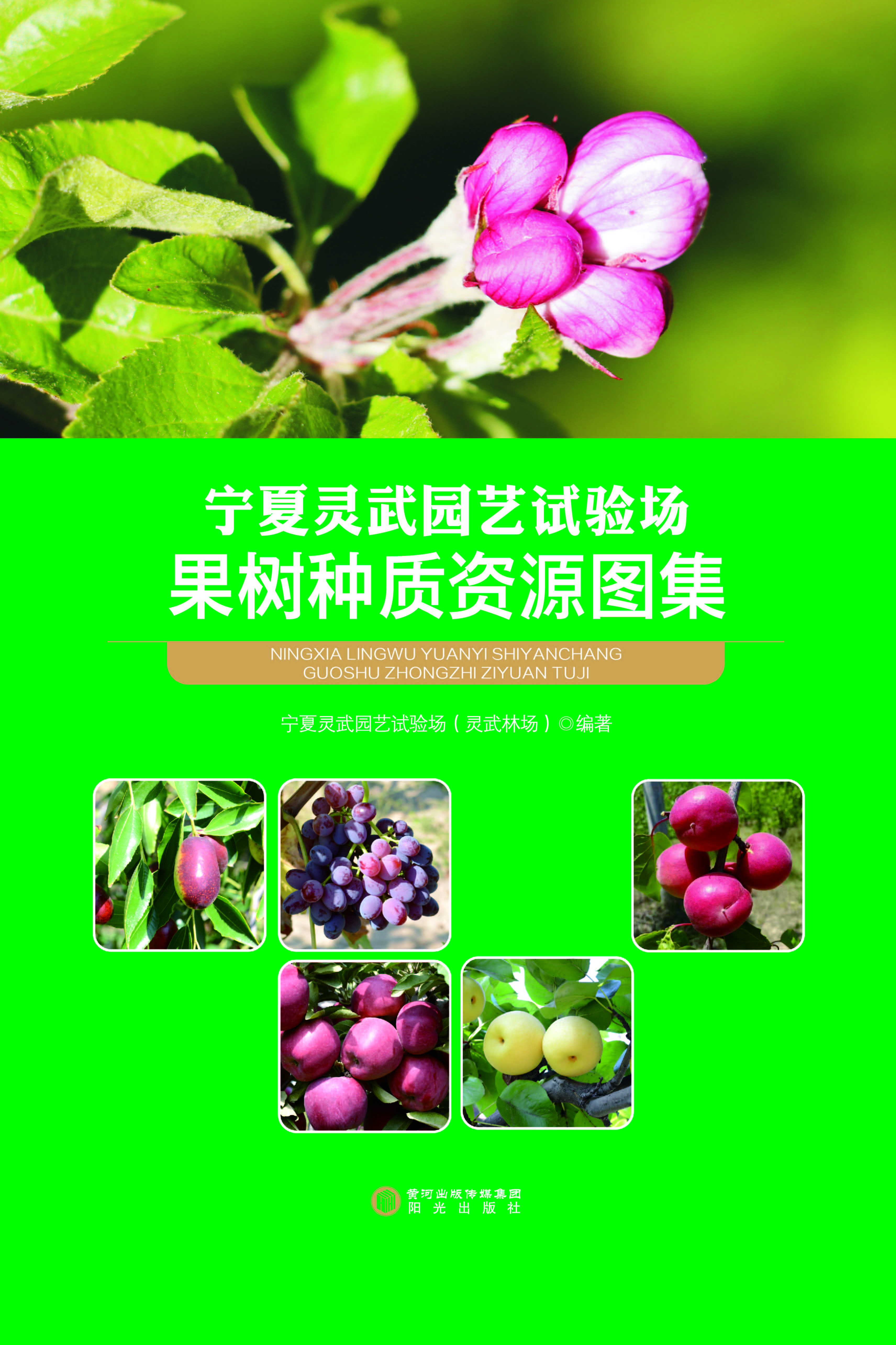 宁夏灵武园艺试验场果