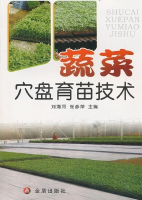 蔬菜穴盘育苗技术