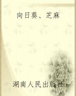 向日葵、芝麻