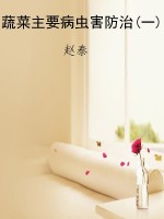 蔬菜主要病虫害防治(