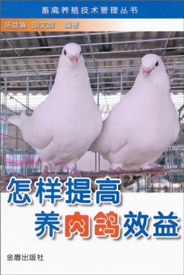 怎样提高养肉鸽效益