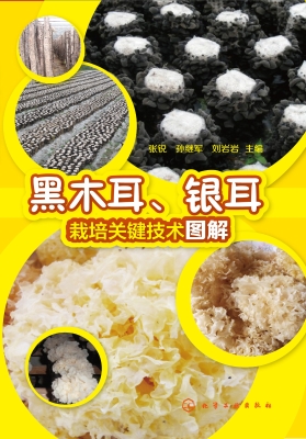 黑木耳、银耳栽培关键