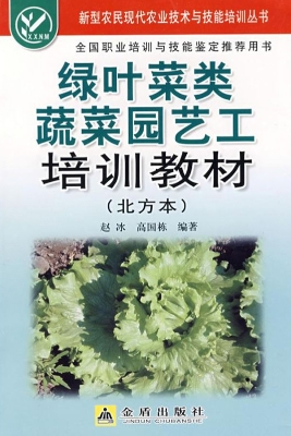 绿叶菜类蔬菜园艺工培