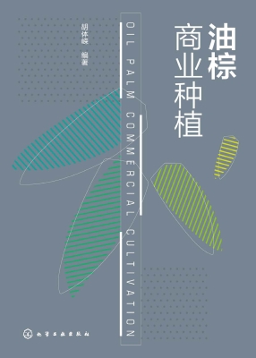 油棕商业种植