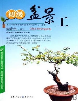 初级盆景工