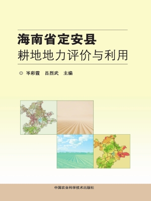 海南省定安县耕地地力
