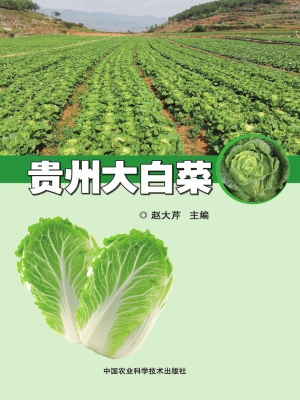 贵州大白菜