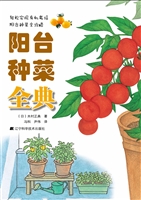 阳台种菜