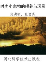 时尚小宠物的喂养与玩