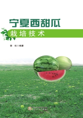宁夏西甜瓜栽培技术