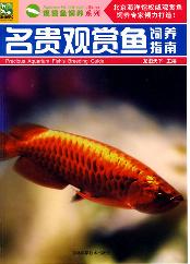 名贵观赏鱼饲养指南