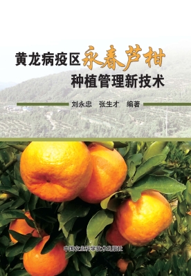 黄龙病疫区永春芦柑种