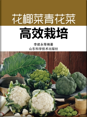 花椰菜青花菜高效栽培