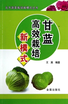甘蓝高效栽培新模式