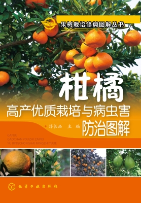 柑橘高产优质栽培与病