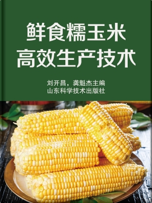 鲜食糯玉米高效生产技