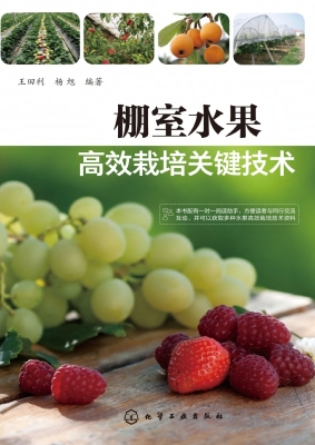 棚室水果高效栽培关键