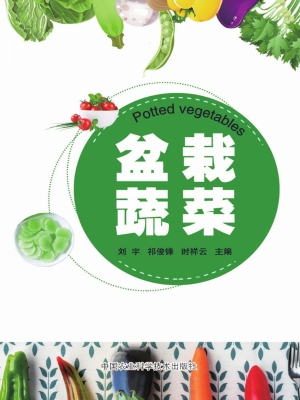 盆栽蔬菜