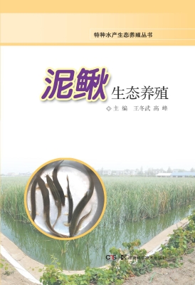 泥鳅生态养殖