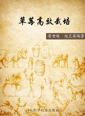 草莓高效栽培