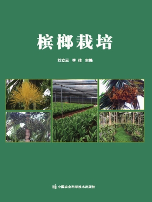 槟榔栽培