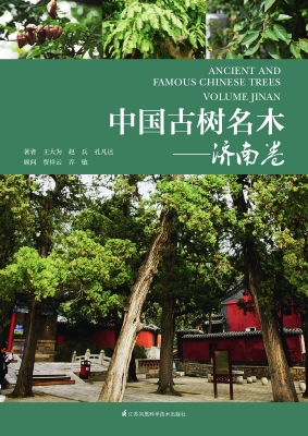 中国古树名木——济南