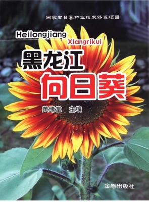 黑龙江向日葵