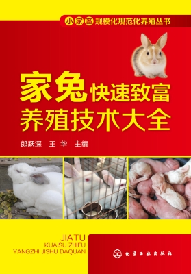 家兔快速致富养殖技术