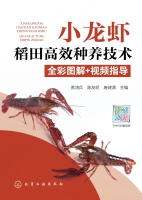 小龙虾稻田高效种养技