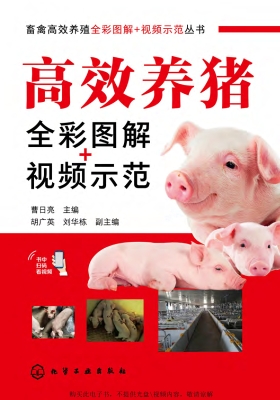 高效养猪全彩图解+视